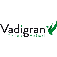 logo vadigran